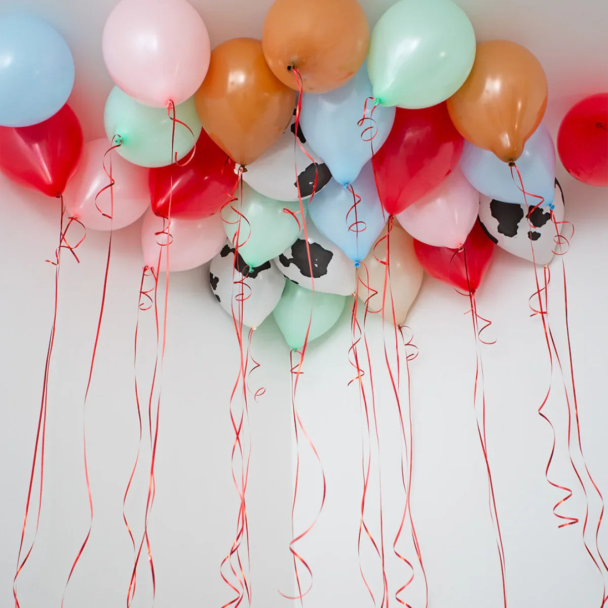 Colorful helium balloons with red ribbons floating on the ceiling, including cow print and pastel colors